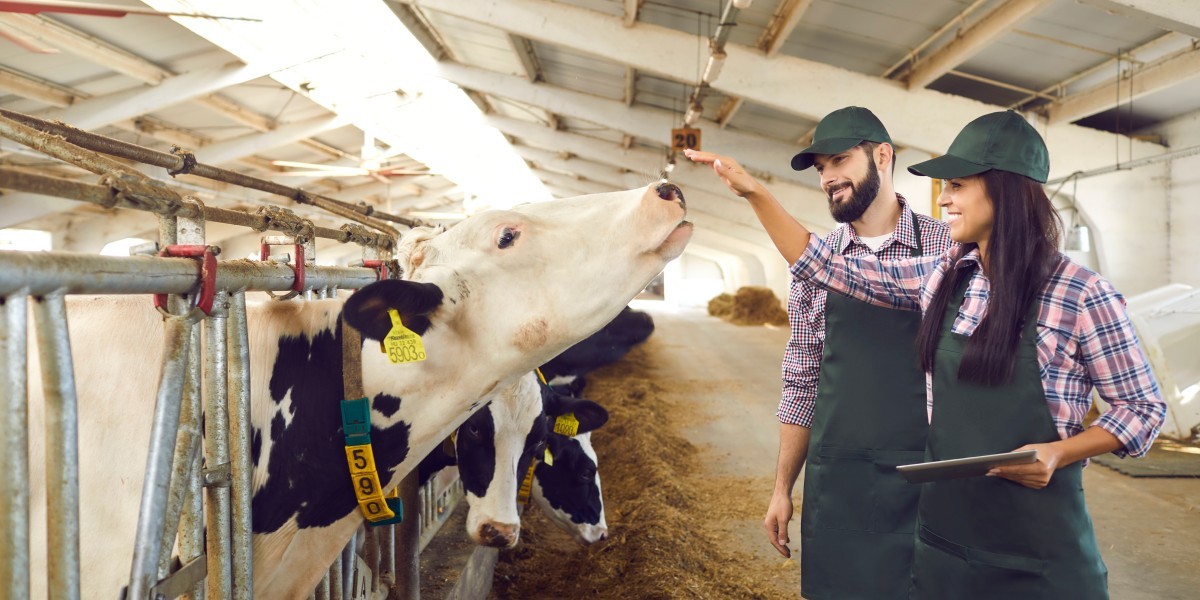 Utnyttelse av RFID-teknologi for presisjonslandbruksstyring