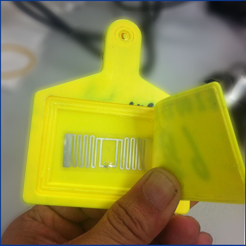 Høykvalitets UHF RFID dyreøremerker JT-307