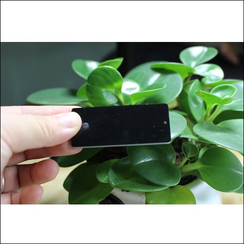 UHF metallmerkelapp JT-6025